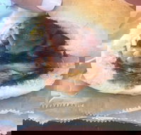 Avenel Cafe - Accommodation Whitsundays