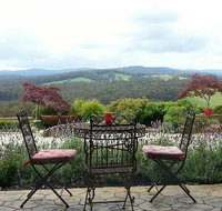 Forest Edge Restaurant - Accommodation Whitsundays