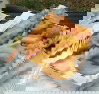 Lang Lang Fish Chips  Pizza - Accommodation Whitsundays