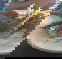 Newmarket Hotel - Accommodation Whitsundays