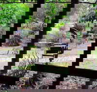 The Wander Inn - Accommodation Whitsundays