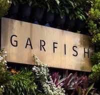 Garfish - Accommodation Whitsundays