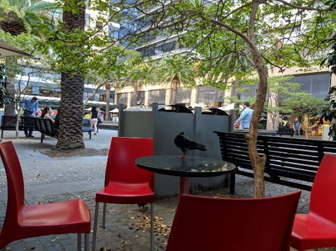 Mcdonald's Family Restaurants - Accommodation Whitsundays 0