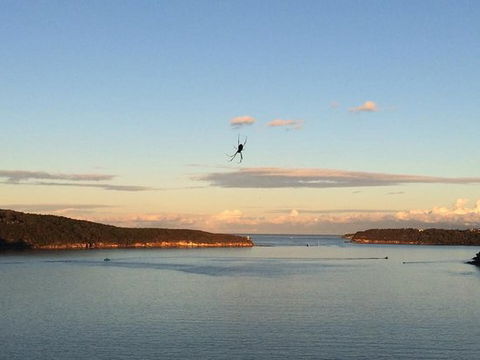 Zest Waterfront Venues - Accommodation Whitsundays 0