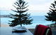 Bondi Social - thumb 0