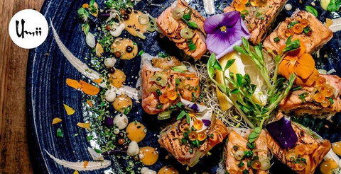 Sackville - Accommodation Whitsundays 5