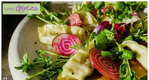 Sackville - Accommodation Whitsundays 6