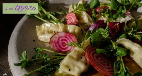 Sackville - Accommodation Whitsundays 8