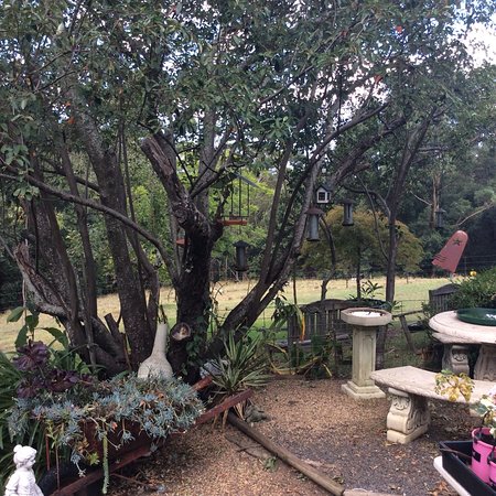 Leonies Little Tree Cafe - Accommodation Whitsundays 0