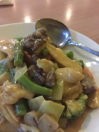 Panda At Morisset - Accommodation Whitsundays 0