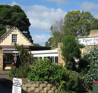 Tipsy Fig - Accommodation Whitsundays