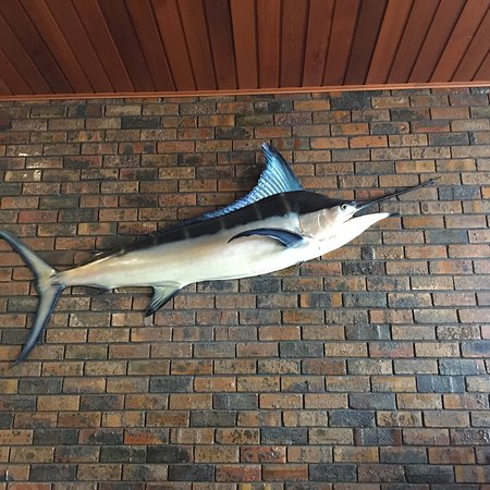 Tonys Pizza House - Accommodation Whitsundays 0
