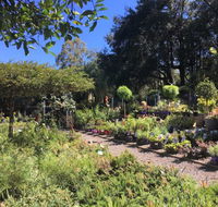 Yatte Yattah Nursery  Cafe - Accommodation Whitsundays