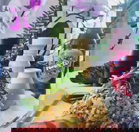 4C Flavours - Accommodation Whitsundays