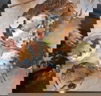 Sardaar Saab - Accommodation Whitsundays