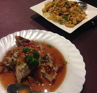 Royal Garden Wagga - Accommodation Whitsundays