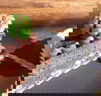 The Food Co Patisserie - Accommodation Whitsundays