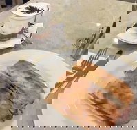 Cafe Mia - Accommodation Whitsundays