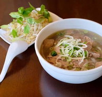 PHO Orange - Accommodation Whitsundays
