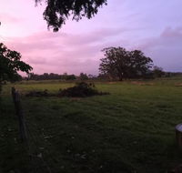 Charcoal Chicken - Accommodation Whitsundays