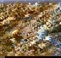 Addil Indian  Kebab Restaurant - Accommodation Whitsundays