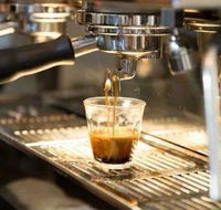 Black Bear Cafe - Accommodation Whitsundays