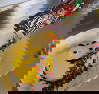 Cox's Bakery - Accommodation Whitsundays