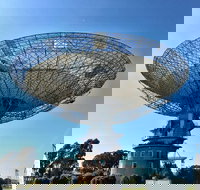 Dish Cafe - Accommodation Whitsundays