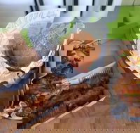 Hello Harry - Accommodation Whitsundays