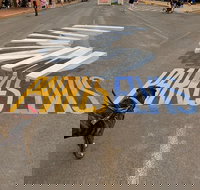 Wholesome Blend - Accommodation Whitsundays