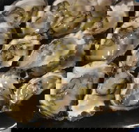 Armstrongs Oysters - Accommodation Whitsundays