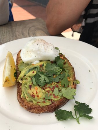 Avoca Beach NSW Accommodation Whitsundays