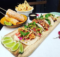 Chihuahua - Accommodation Whitsundays