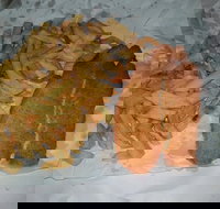 Chipp Inn - Accommodation Whitsundays