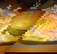 Finn  Co Cafe - Accommodation Whitsundays