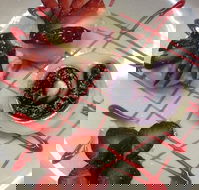 Forbes Golf and Sportsmans Hotel - Accommodation Whitsundays