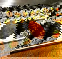 Freewave Sushi  Burgers - Accommodation Whitsundays