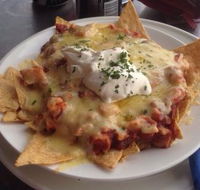 Great White Bite - Accommodation Whitsundays