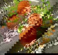 Ollie Masons Cafe - Accommodation Whitsundays