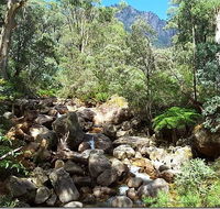 Star Chinese Restaurant - Accommodation Whitsundays