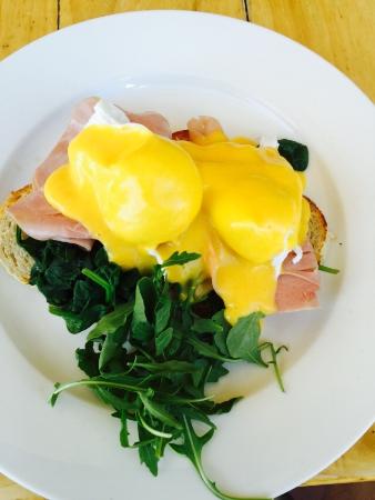 The Point Cafe - Accommodation Whitsundays 0