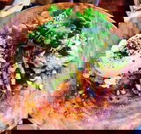 Woods - Accommodation Whitsundays