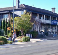 Coachwood  Cedar Motor Hotel Restaurant - Accommodation Whitsundays