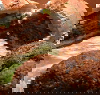 Familiar Takeaway - Accommodation Whitsundays