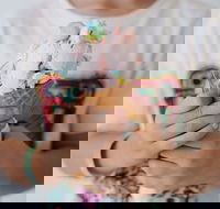 Get The Scoop Gelato Bar - Accommodation Whitsundays