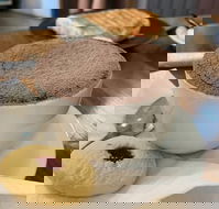 Mad Meerkat Coffee - Accommodation Whitsundays