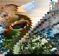 Caffe Cherry Beans Canberra Centre - Accommodation Whitsundays