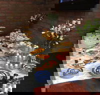 Colony Inn Hotel - Accommodation Whitsundays