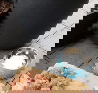 Doughnut Department - Accommodation Whitsundays