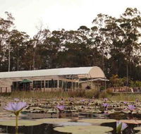 Abundance Cafe and Garden Centre - Accommodation Whitsundays